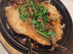 -九毛九西北菜(百信广场店)
