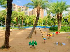 -宝安西湾红树林湿地公园