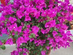 -何适山庄 ·可团建(水长城P2停车场店)