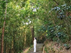 -大屏嶂森林公园