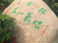 -合肥滨湖国家森林公园