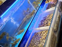 水产区-布多斯烤肉火锅自助(江腾广场店)