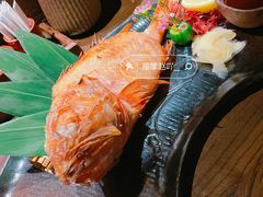 金吉鱼-三川·十酒Izakaya(南昌路店)