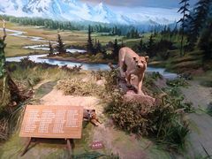 -陕西自然博物馆