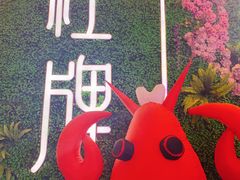-红牌美蛙鱼头火锅(万辉国际广场店)