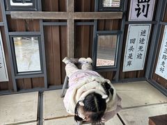 -美心红酒小镇游乐园