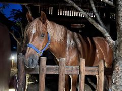 -驿舍·民國老营房院子私房菜(科学会堂店)