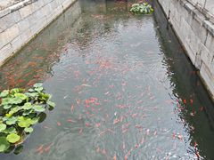 -北京市劳动人民文化宫(太庙)