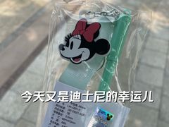 -迪士尼小镇