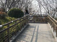 -羊山湖公园