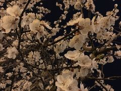 -青岛海景花园大酒店