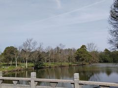 -上海海湾国家森林公园