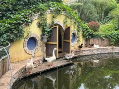 -南宫五洲植物乐园