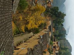 -杨家堂村