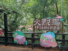 -广州长隆野生动物世界