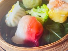 伯乐四喜饺-伯乐居茶艺馆(石岐大信店)