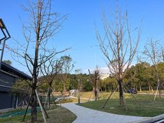 -铁山坪森林公园