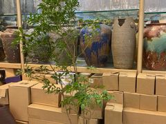 -双季花艺园艺市场(浦东店)