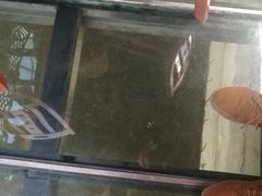 -北镇龙岗子生态园