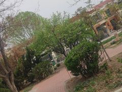 -大港湿地公园