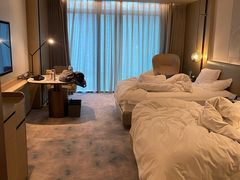 -深圳国际会展中心希尔顿酒店(前海华发冰雪世界店)