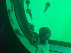 -沈阳海洋探索中心