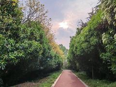 -洛阳市隋唐城遗址植物园
