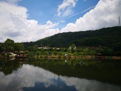 景观位-梧桐庄园