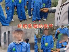 -都江堰中华大熊猫苑