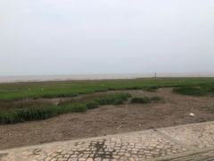 -南汇嘴观海公园