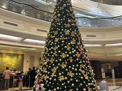 -上海瑞金洲际酒店