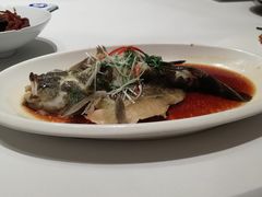 豉油蒸石斑鱼-红城阁·上海味道(四平路店)