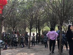 -勇士之星真人CS·团建·拓展(清水河公园店)