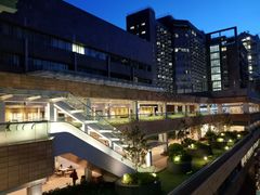 -香港大学
