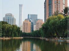 -团结湖公园