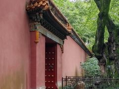 -灵谷景区