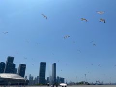 -东港音乐喷泉广场