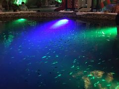 -宝丽金大酒店·洗浴中心