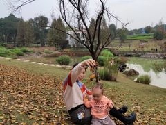 -铁山坪森林公园