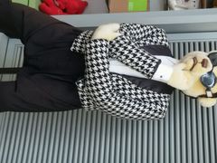 android_upload_pic-济州岛泰迪熊博物馆