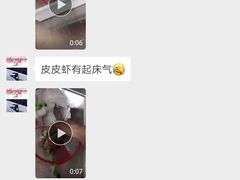 -宠福鑫动物医院·动物疾病诊疗中心(天通苑店)