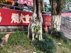 -弓虽昌焖烧鸡(大竹林店)