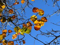 -北京西山国家森林公园