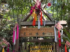 -西双版纳原始森林公园