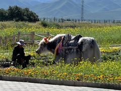 -扁都口生态休闲旅游区