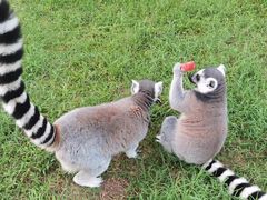 -杭州野生动物世界