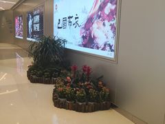 -首开·龙湖成都西宸天街