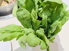 -浩爷羊蝎子火锅(望京店)