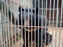 -揭东万竹园旅游景区