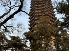 -北京大学赛克勒考古与艺术博物馆
